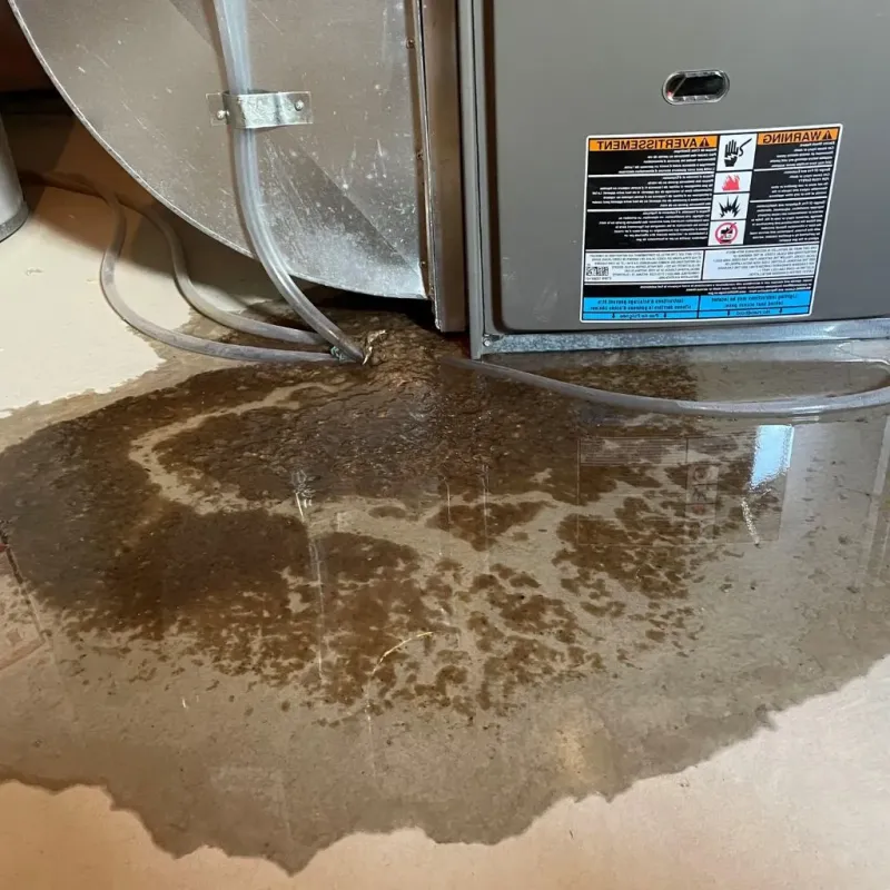 Pipe Burst and Leak Restoration in Buechel, KY